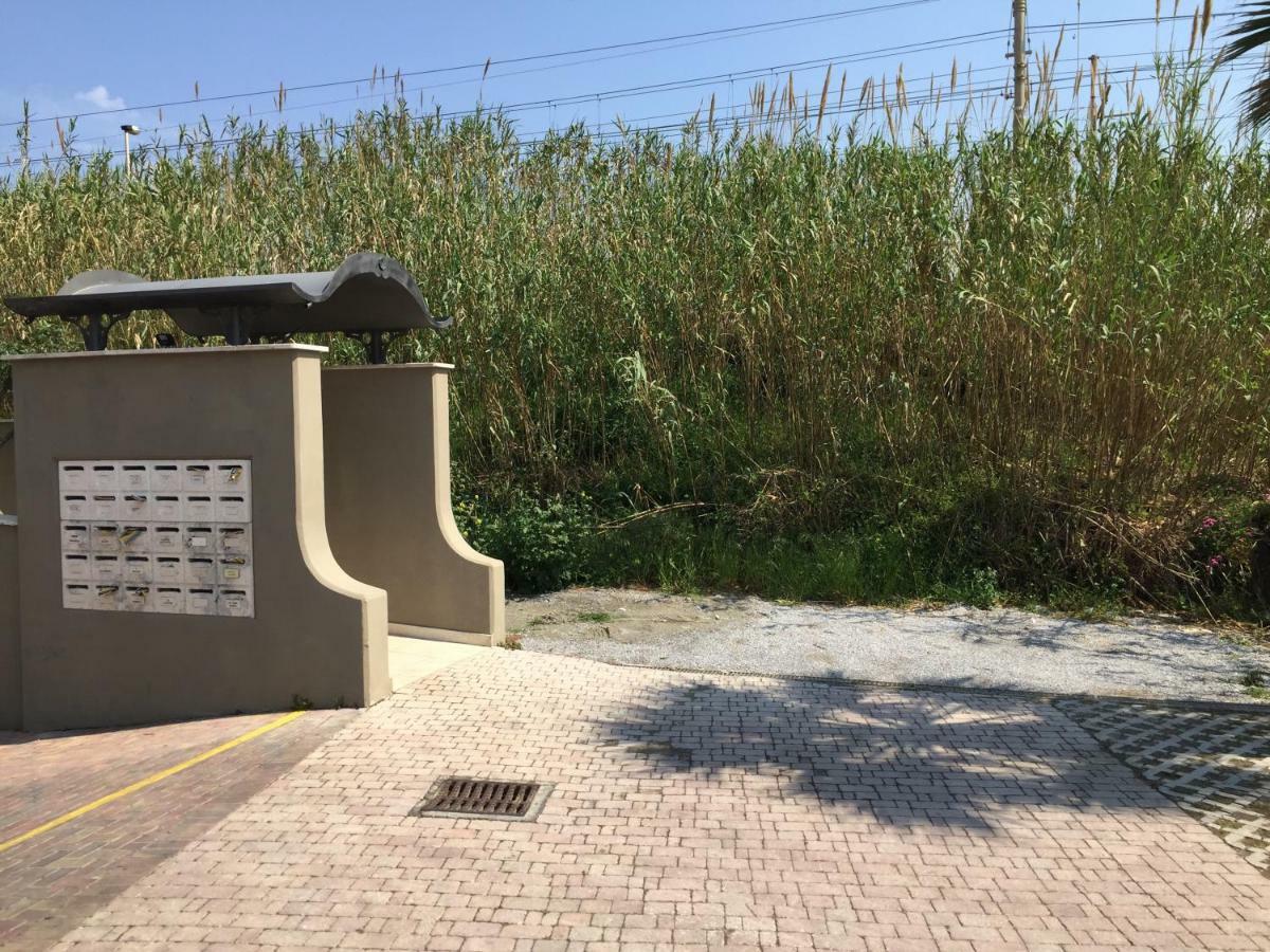 Casa Myconis 68Mq A Due Passi Dal Mare Di San Vincenzo Lägenhet Exteriör bild